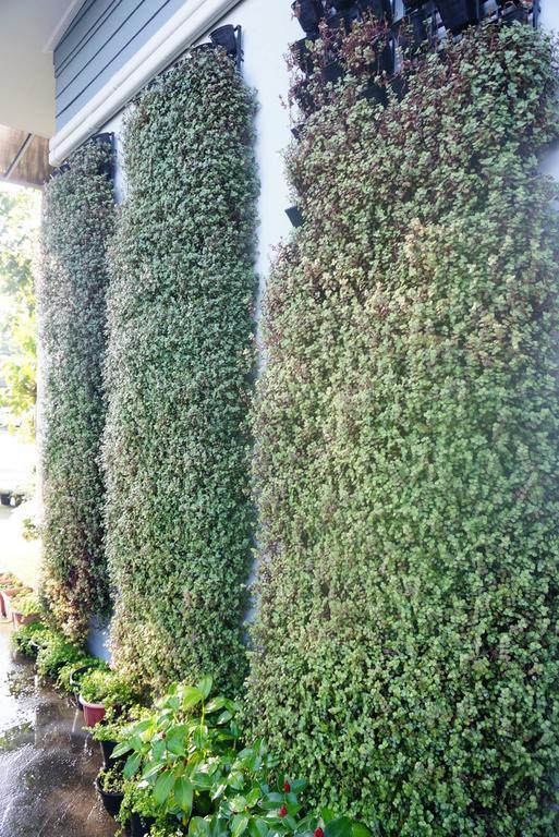 The Rhea Hotel Udon Thani Buitenkant foto