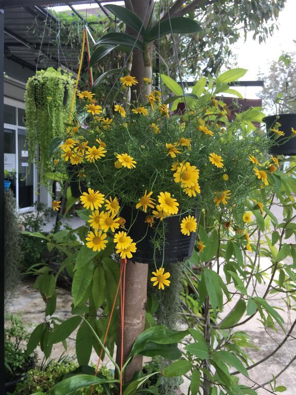 The Rhea Hotel Udon Thani Buitenkant foto